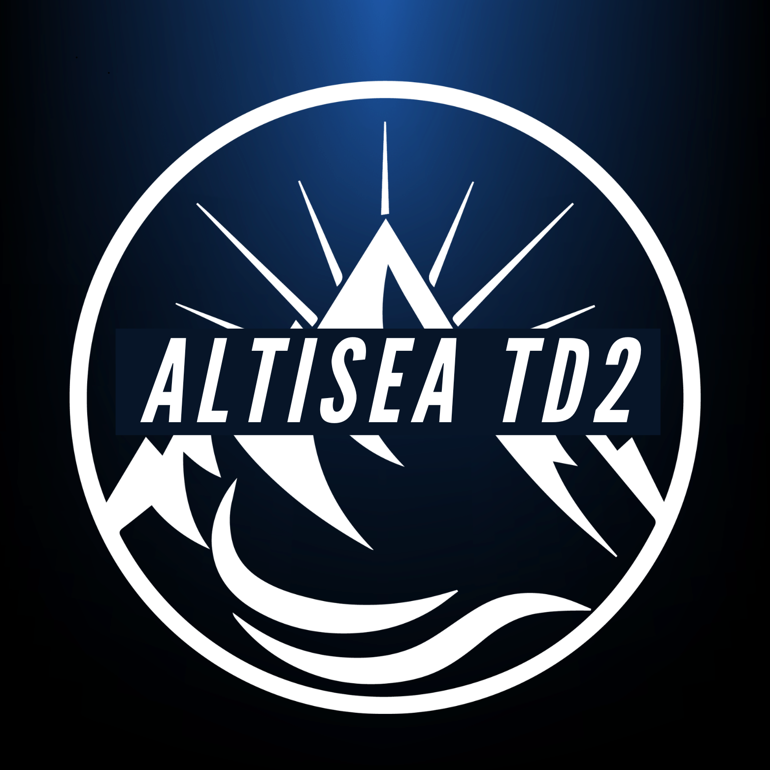 Qualifier Altisea TD 2 logo