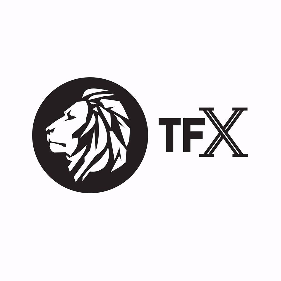 The Fittest Experience 2019 Online Qualifier logo