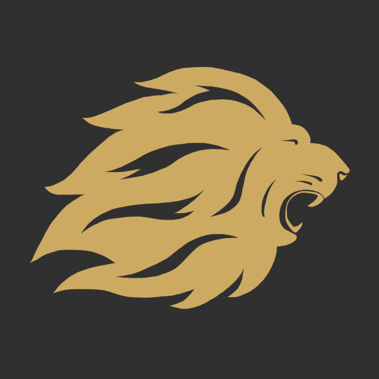 Stoic Wars Battle 2 | Teenage International Championships 2019 logo