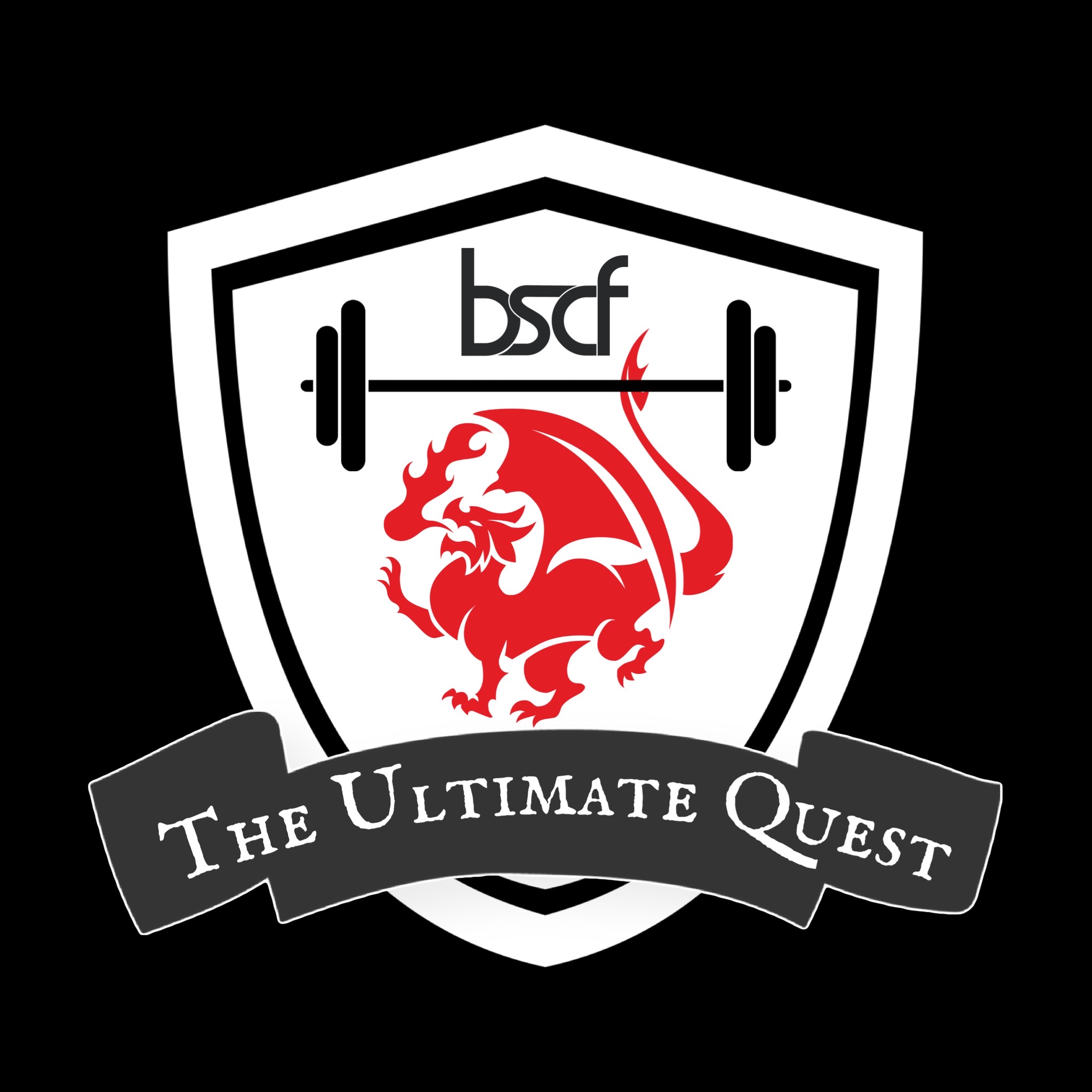 The Ultimate Quest 2023: Kids and Teens Team Competition  logo