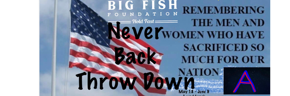 Never Back Throw Down logo