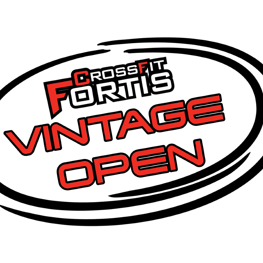 Vintage Open 2025 logo