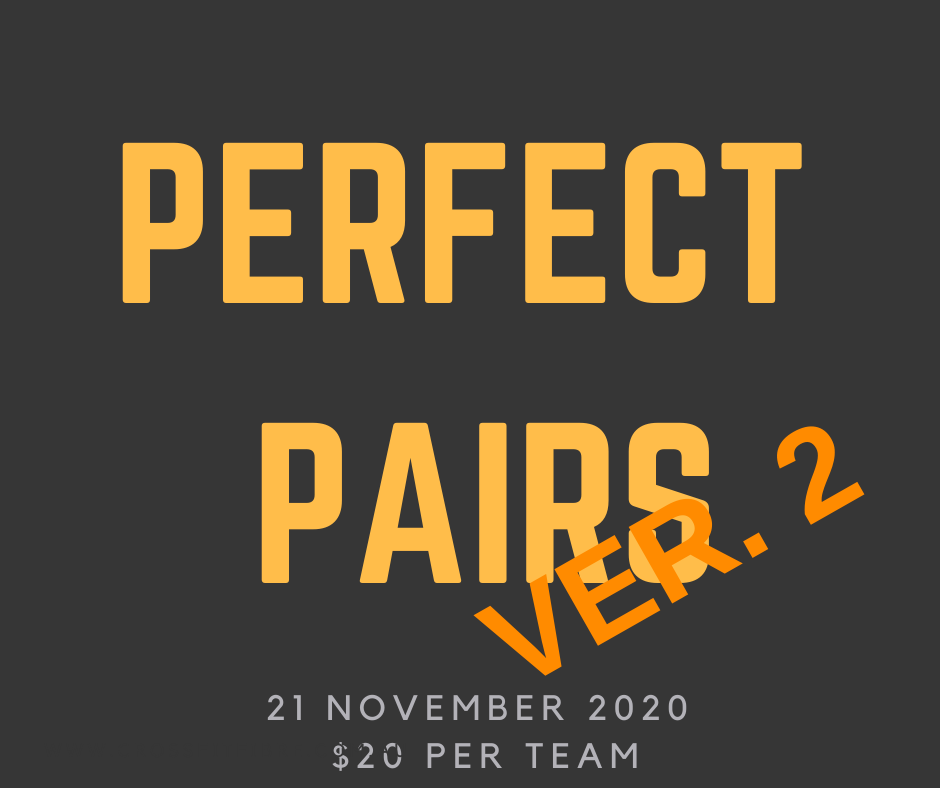 Perfect Pairs Ver2.0 logo