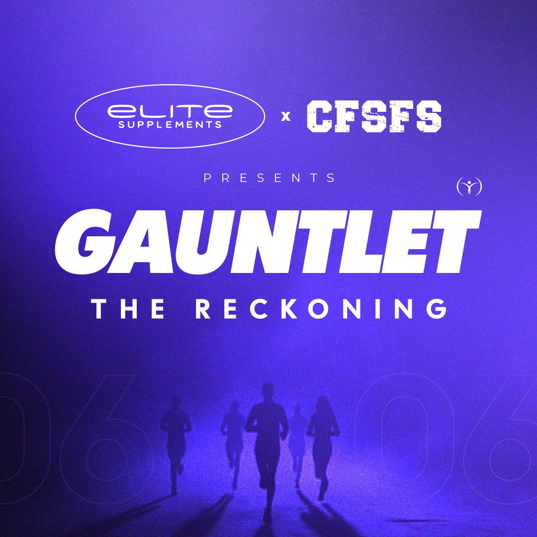 Gauntlet: The Reckoning logo