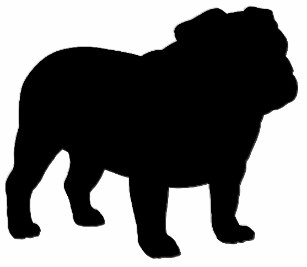 Upstate SC Open 2026 logo