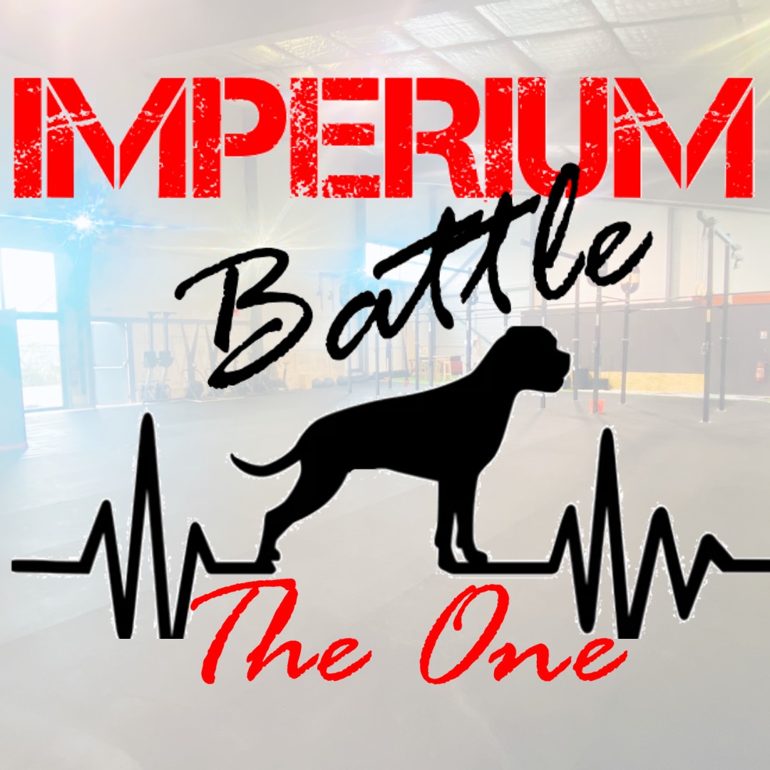 IMPERIUM BATTLE logo