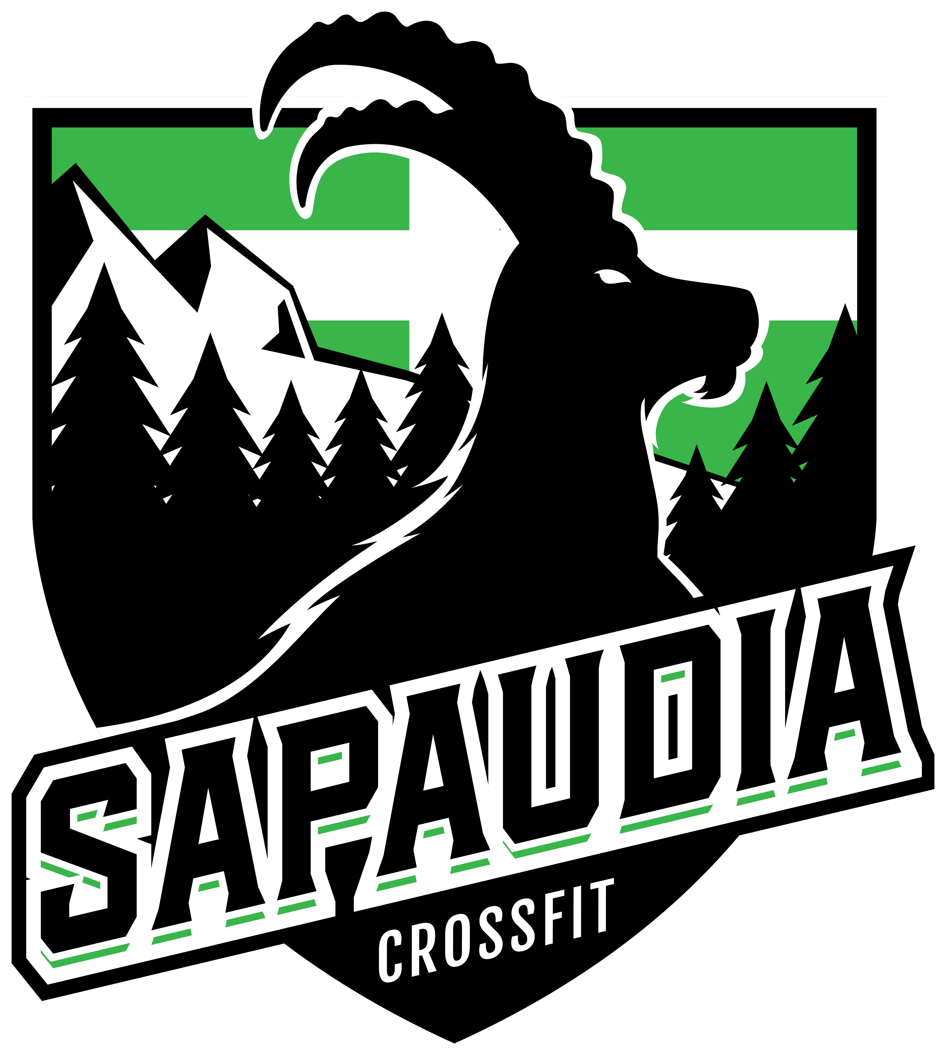 SAPAUDIA HYBRID CHALLENGE (CROSSFIT) logo