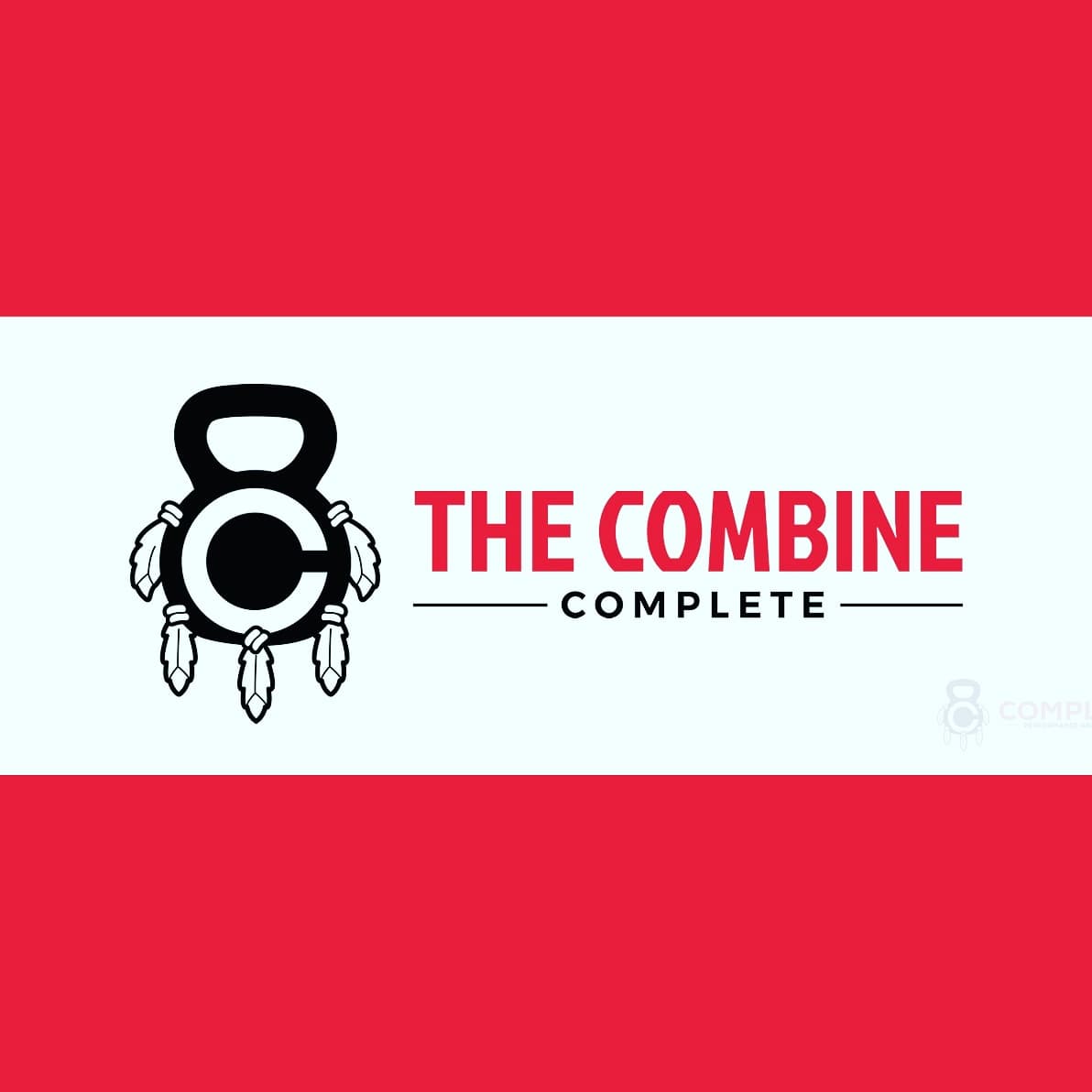 The COMBINE  logo