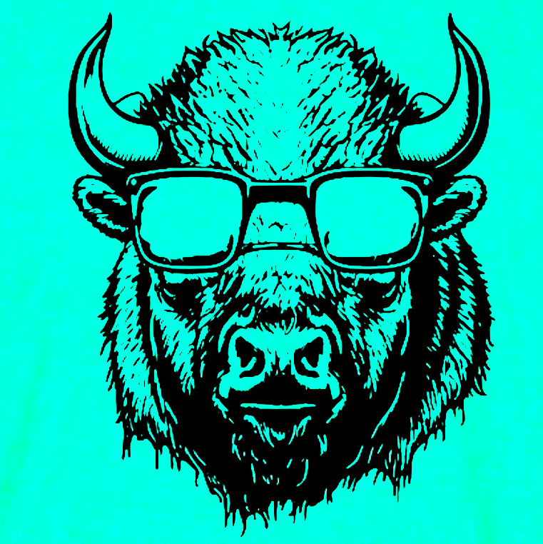The Bison Games 2024 logo