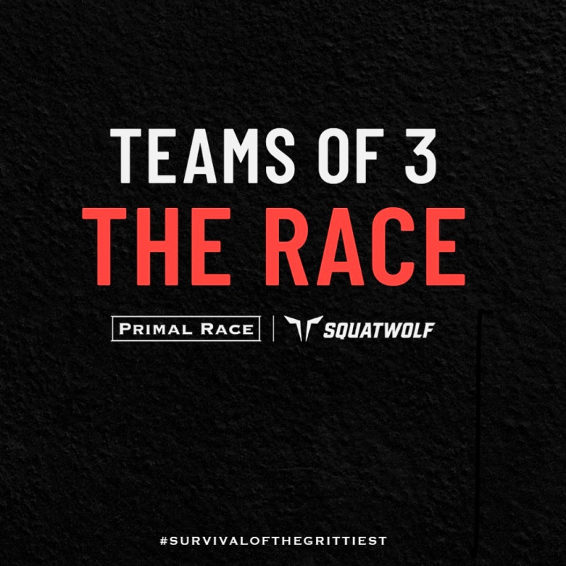 Primal Race Abu Dhabi (Teams of 3 Females) logo