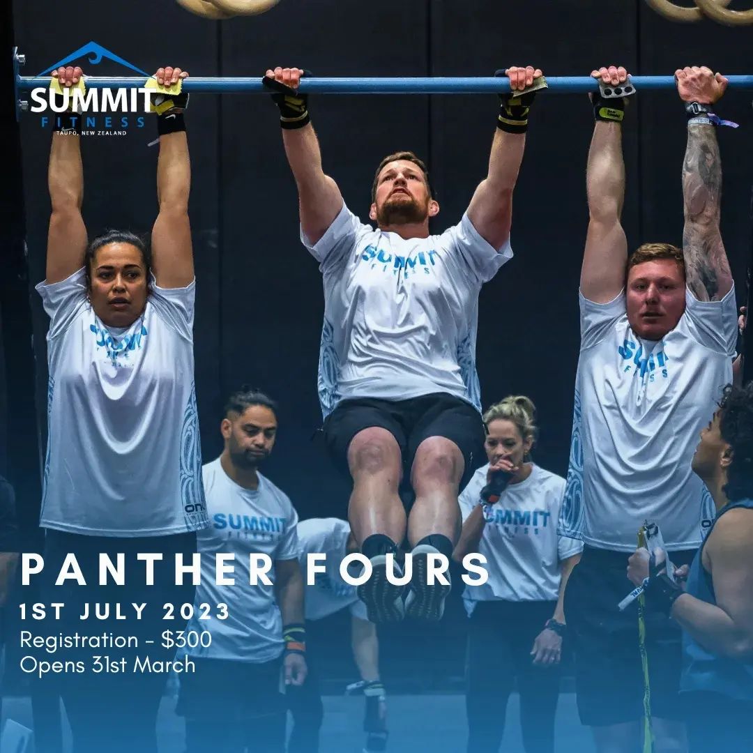 Panther Fours logo