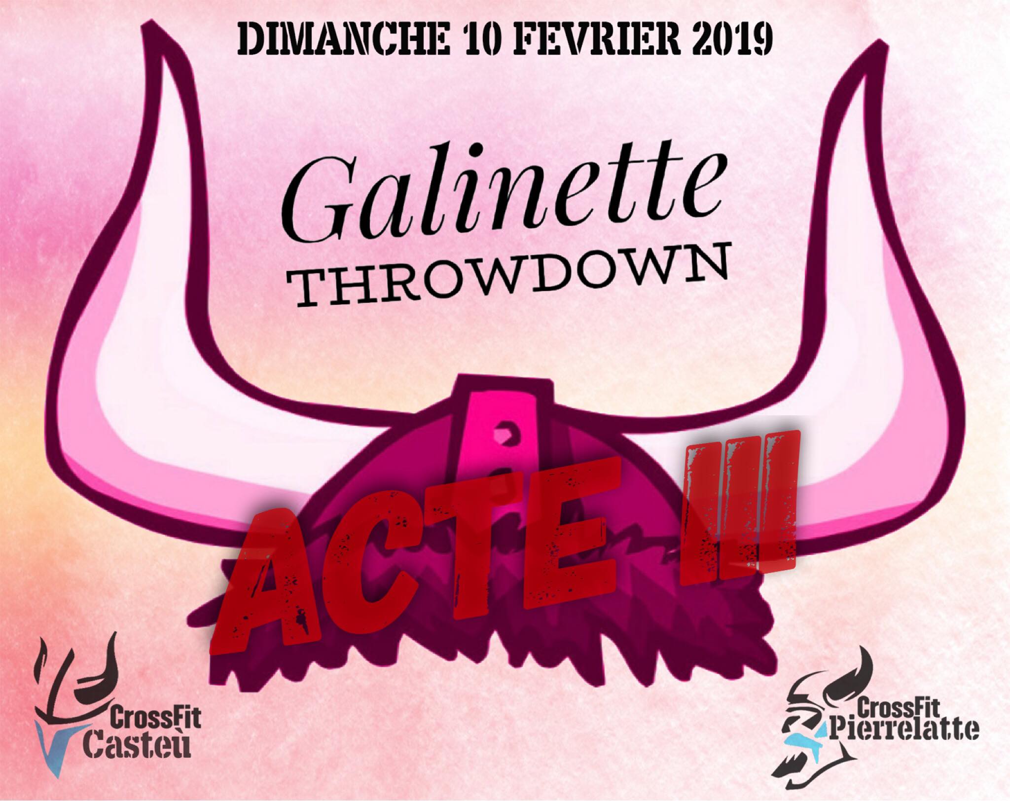 Galinette Throwdown III logo