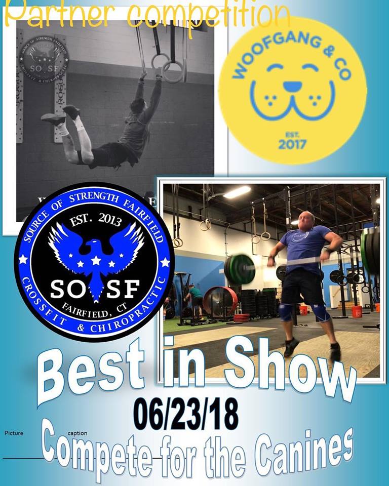 Best In Show logo