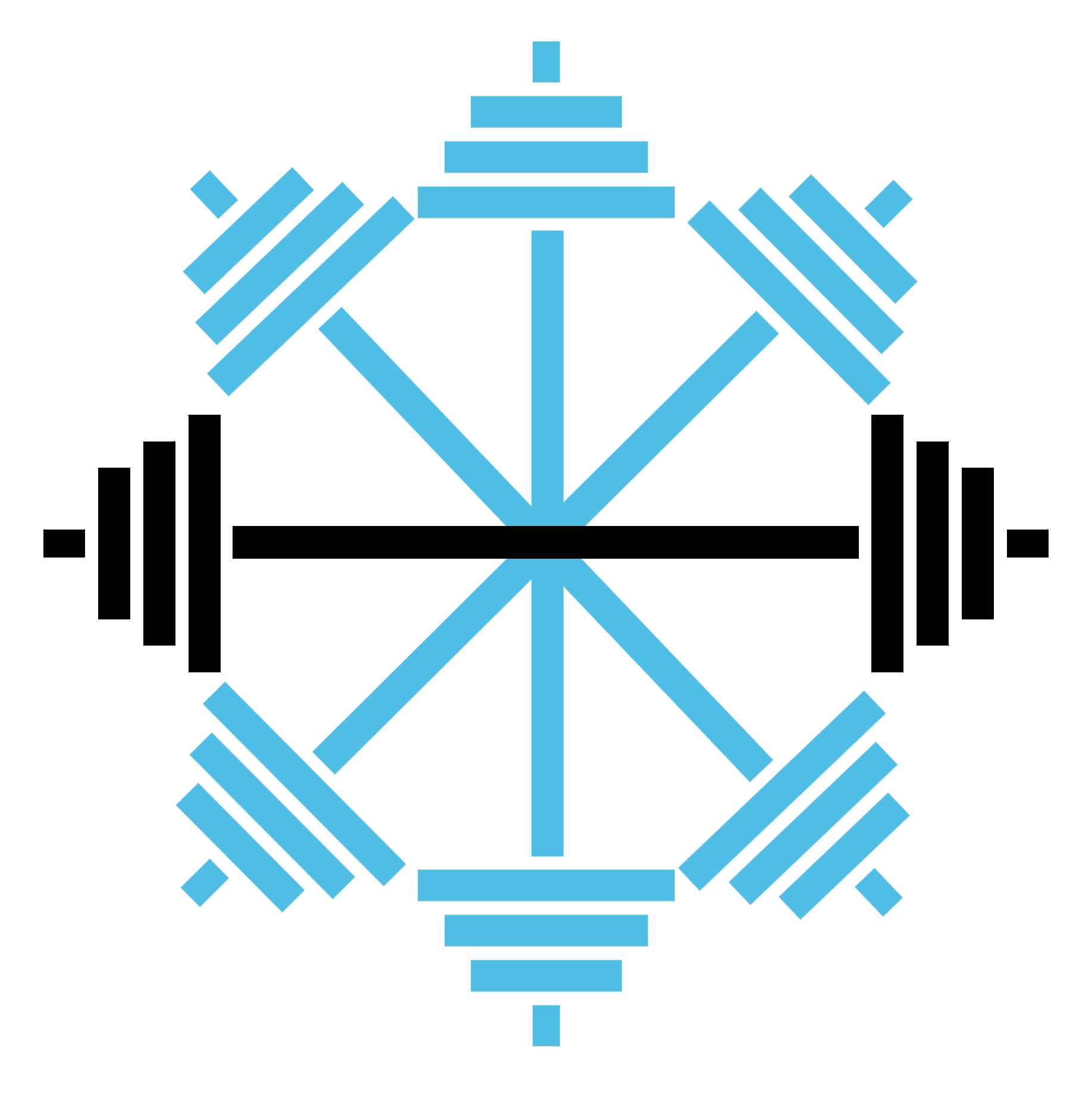 Winter Swolstice 2022 logo