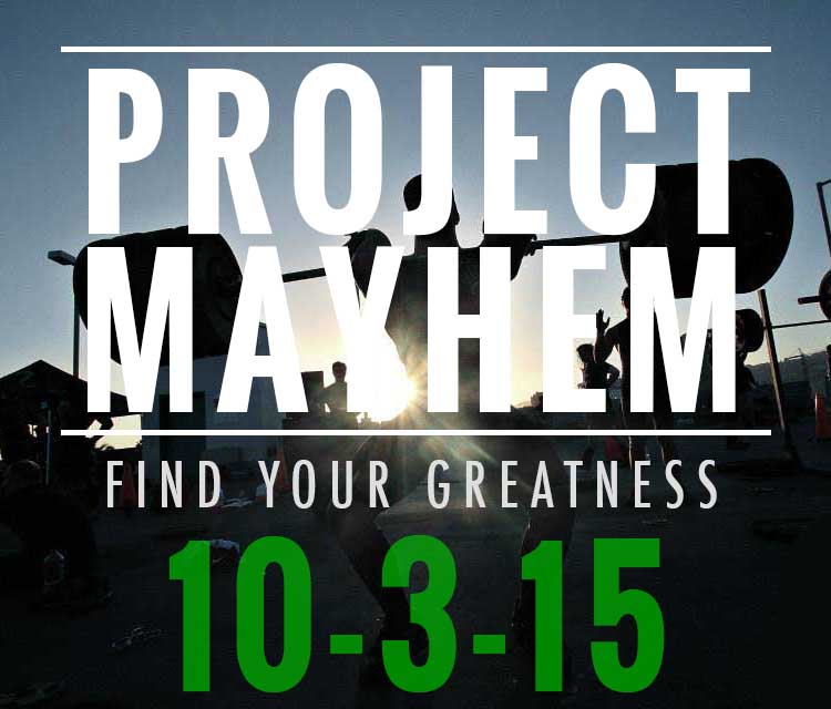 Project Mayhem 2015 logo