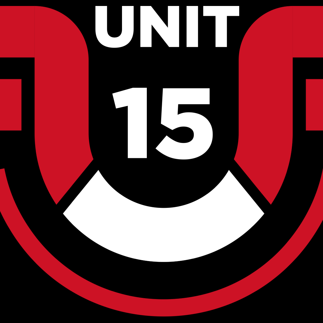 UNIT 15 - HYROX Pairs Simulation Day  logo