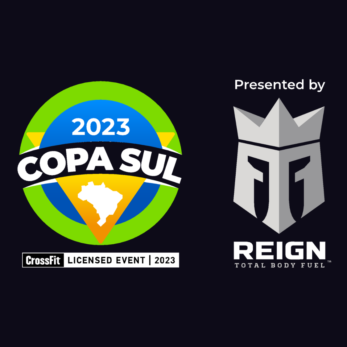 Copa Sul logo