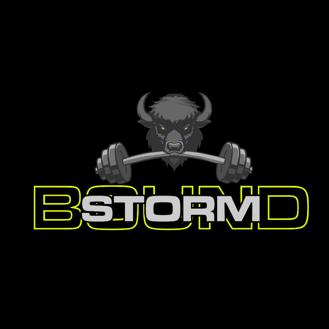 Through the Storm  logo