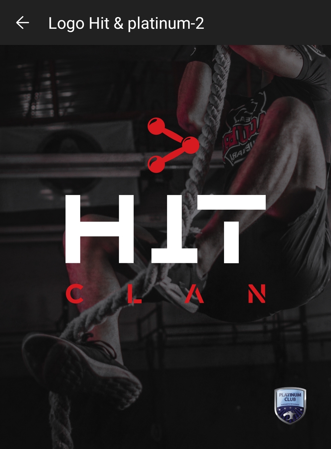 Hitegypt 2023 leaderboard  logo