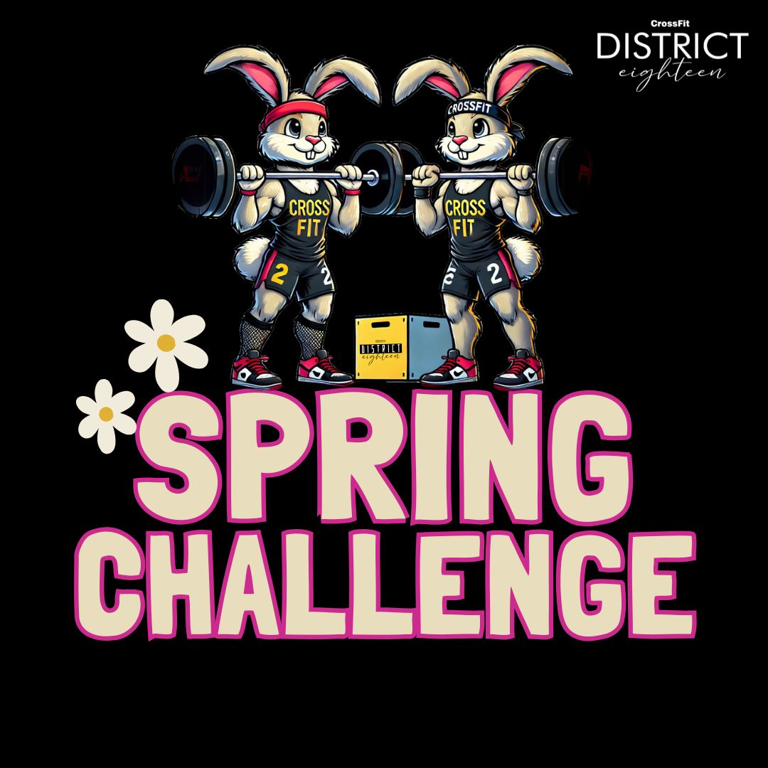 DISTRICT EIGHTEEN SPRING CHALLENGE logo