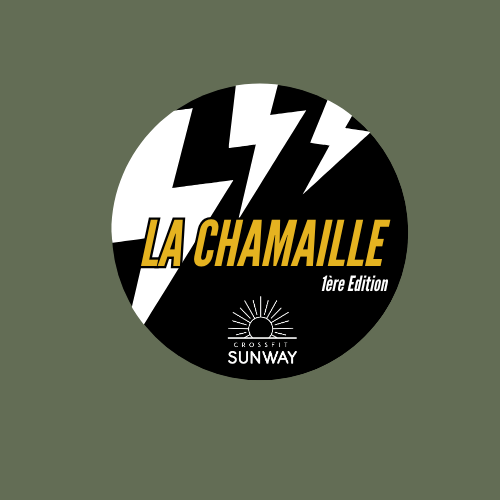 LA CHAMAILLE #1 logo