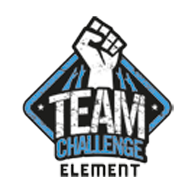 Element Team Challenge 2015 logo