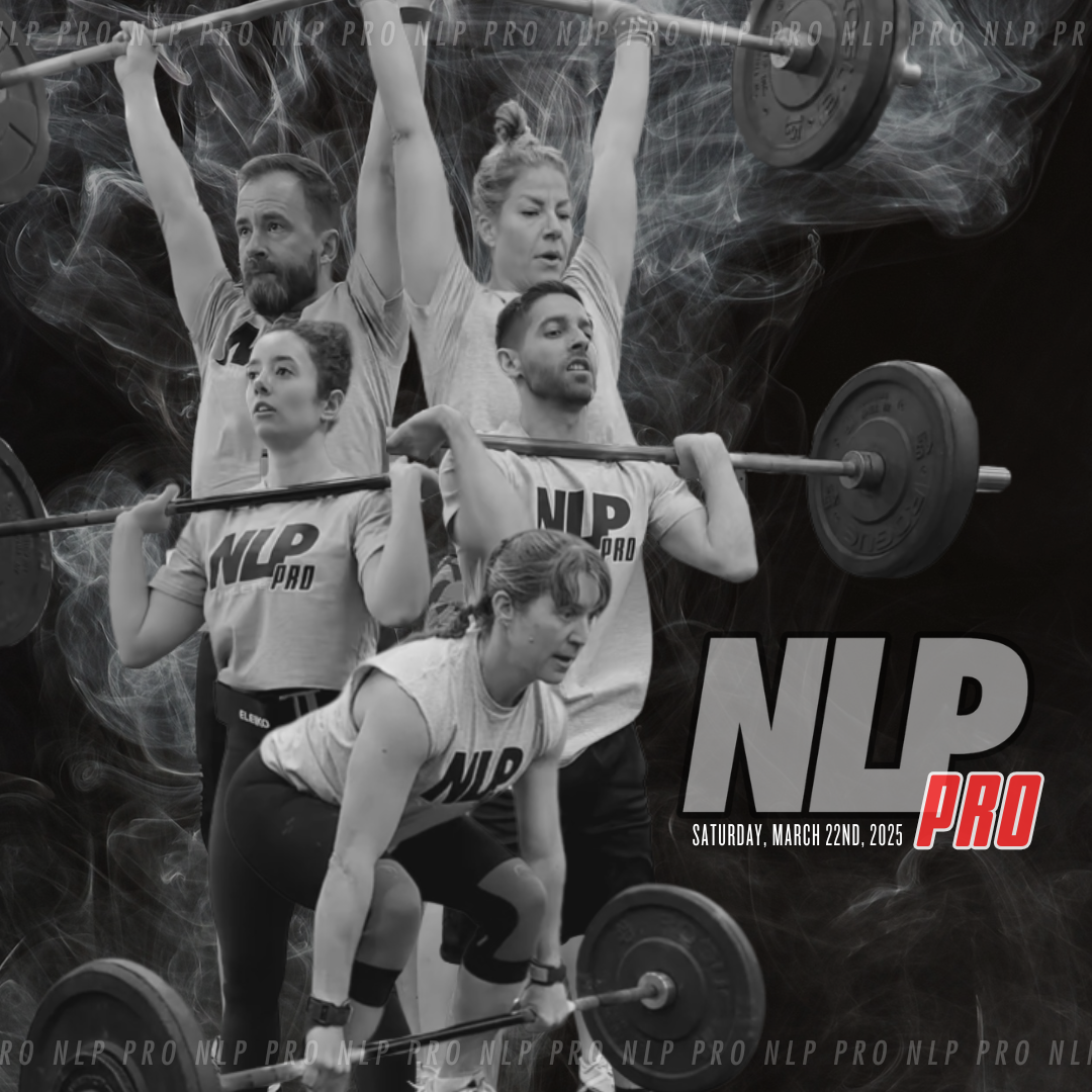 NLP Pro logo