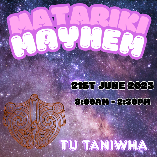 Matariki Mayhem logo