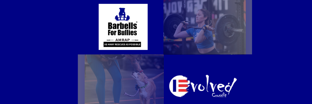 Barbells For Bullies: Community Workout at Evolved CrossFit logo