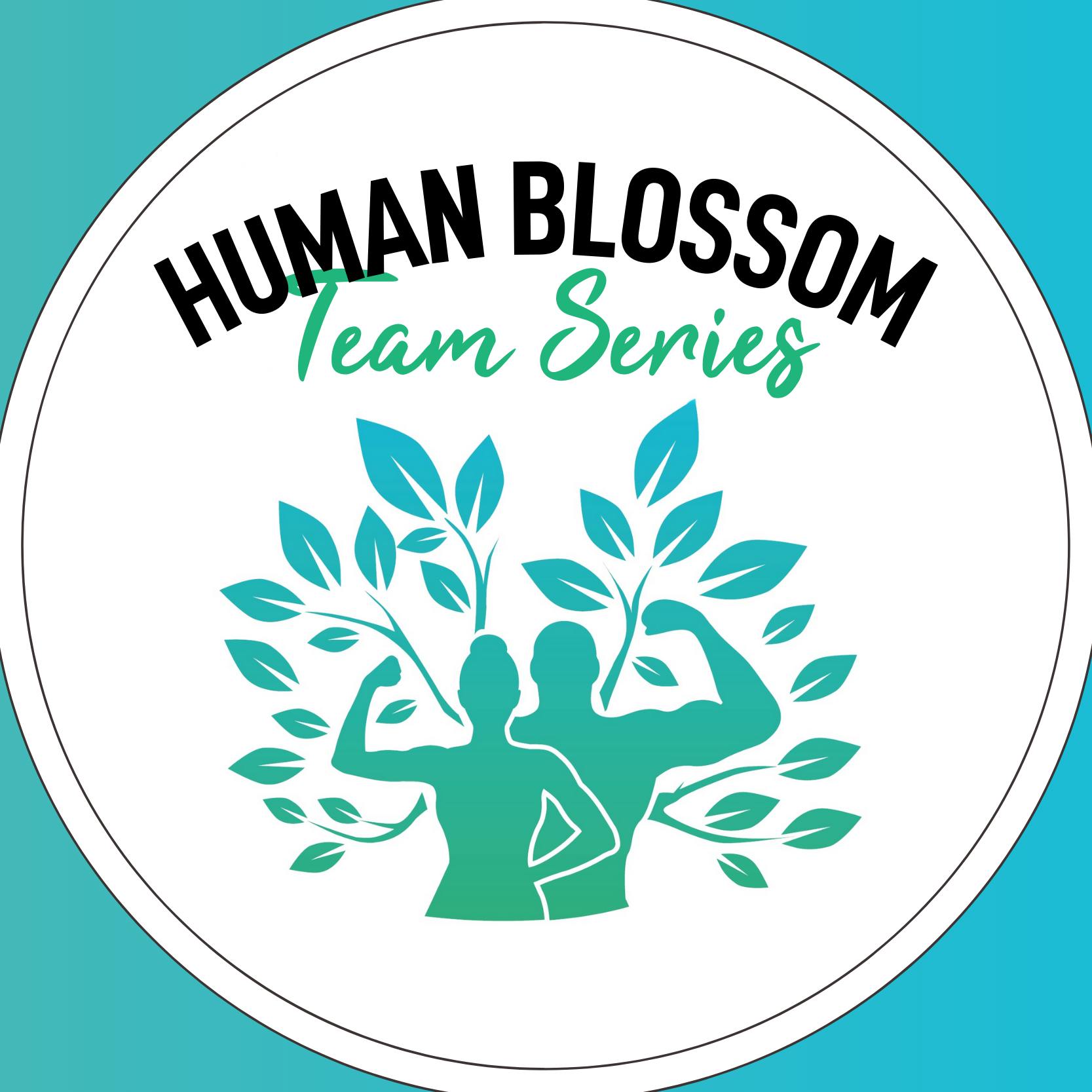 HB Teams Series 23' logo