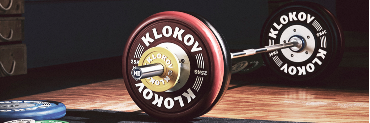 Dmitry Klokov Seminar Sessions logo