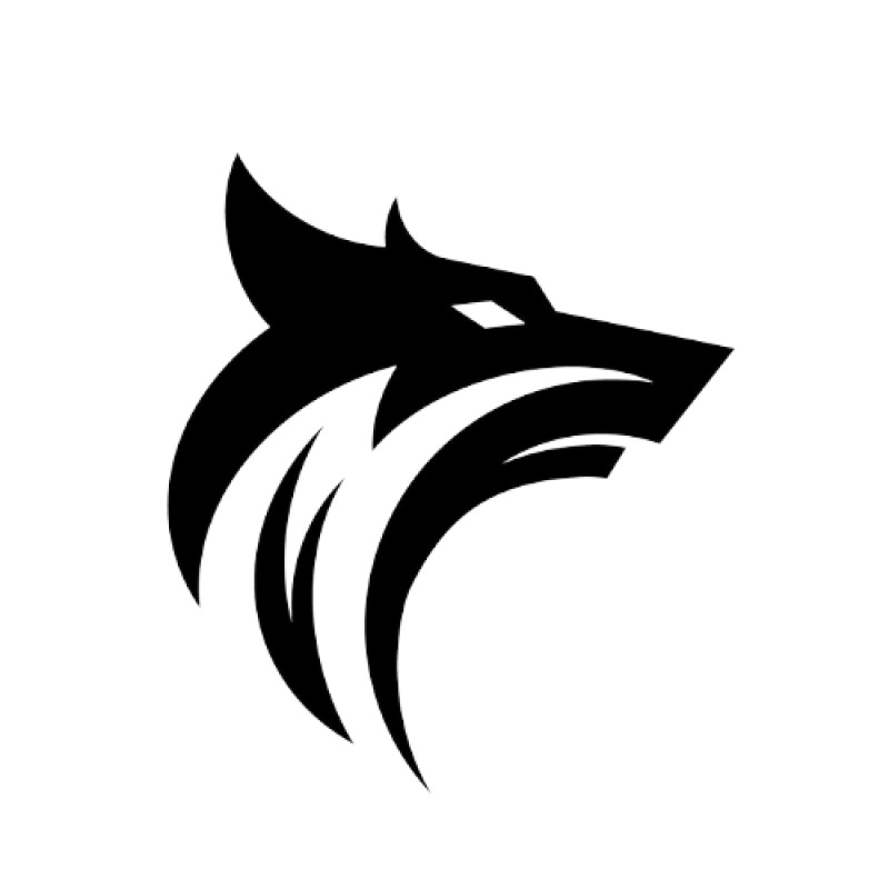 CrossFit DireWolf Pairs Throwdown logo