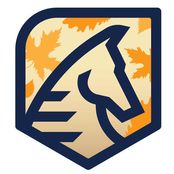 2025 Fort Worth Fall Brawl  logo