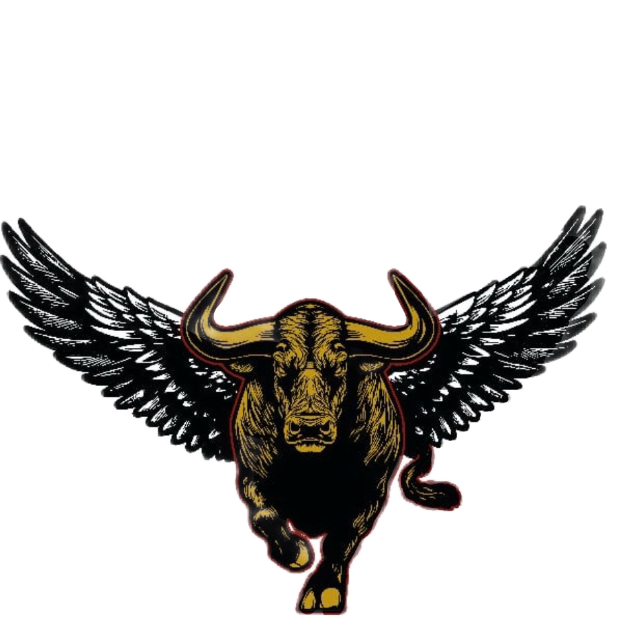 AVIAT RACE logo