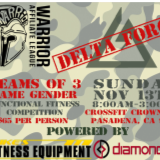 Delta Force: 3-person Functional Fitness Competition logo
