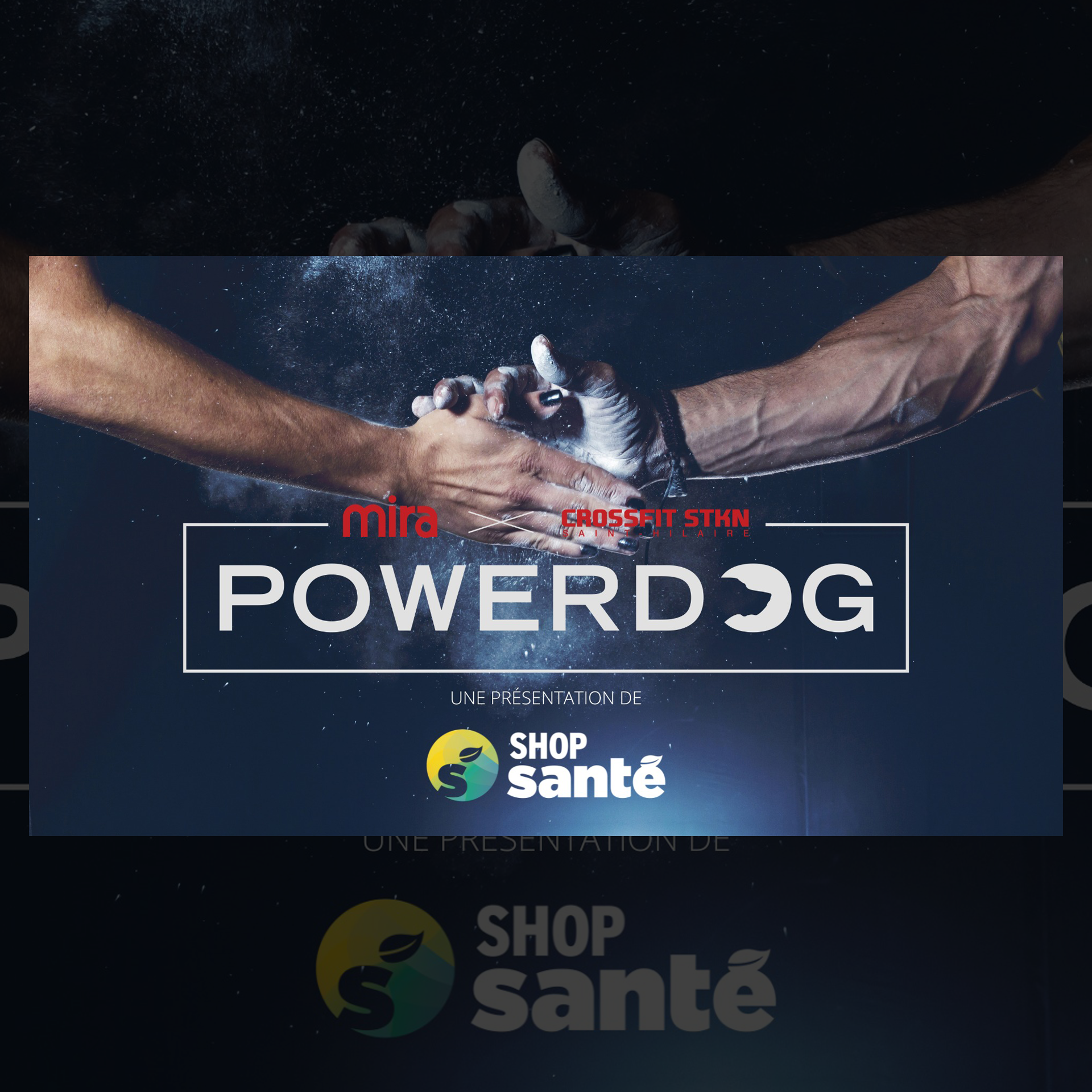 PowerDog 2023 logo