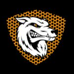 The Wolves Hyrox Simulation Race logo