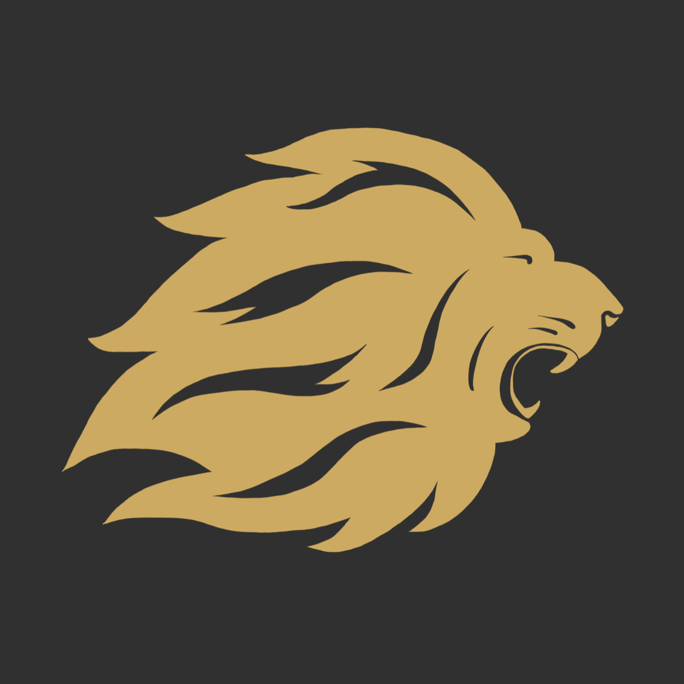 Stoic Wars | Teenage Worldwide Championships 2018 logo
