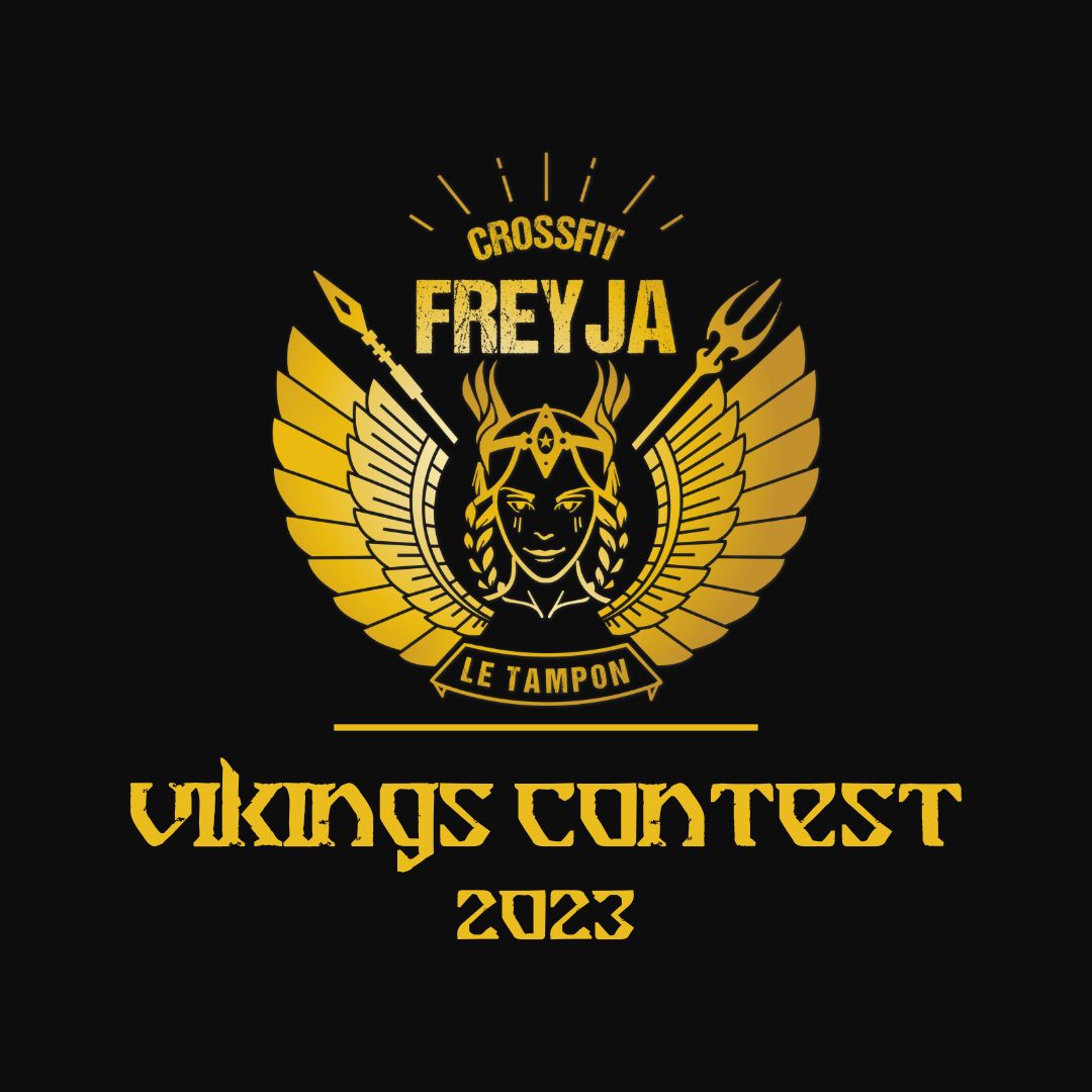 VIKINGS CONTEST - INDIV 2023 logo