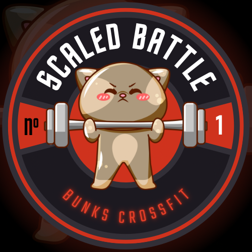SCALED BATTLE logo