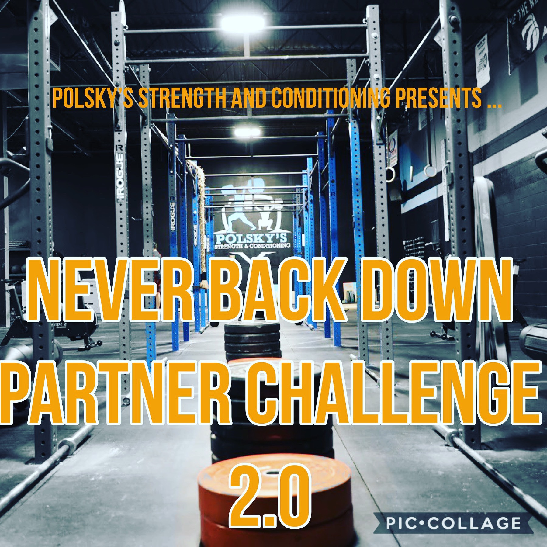 Never Back Down, Partner Challenge 2.0 logo