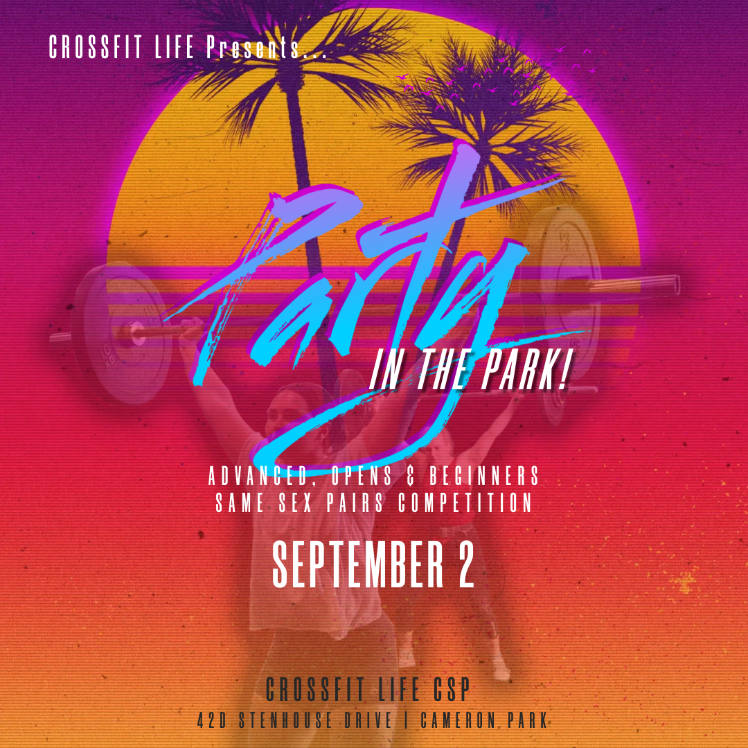 Party in the Park - Volume 1 logo