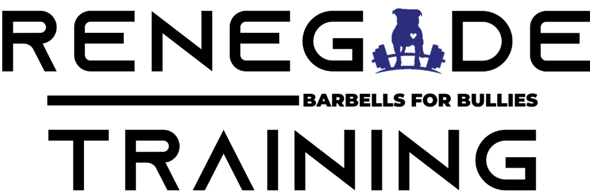 Barbells For Bullies: Pittsburgh logo
