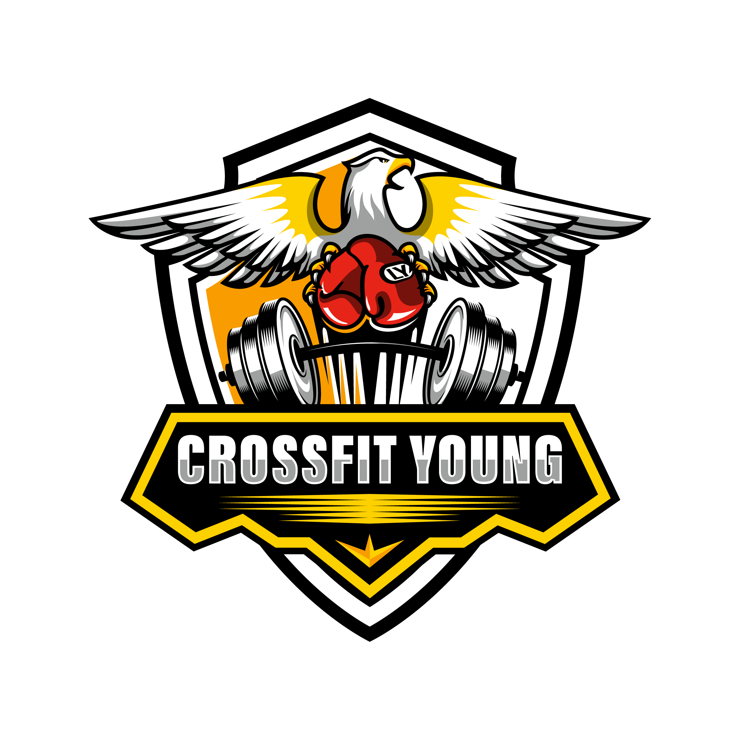 CFY Xmas Challenge logo