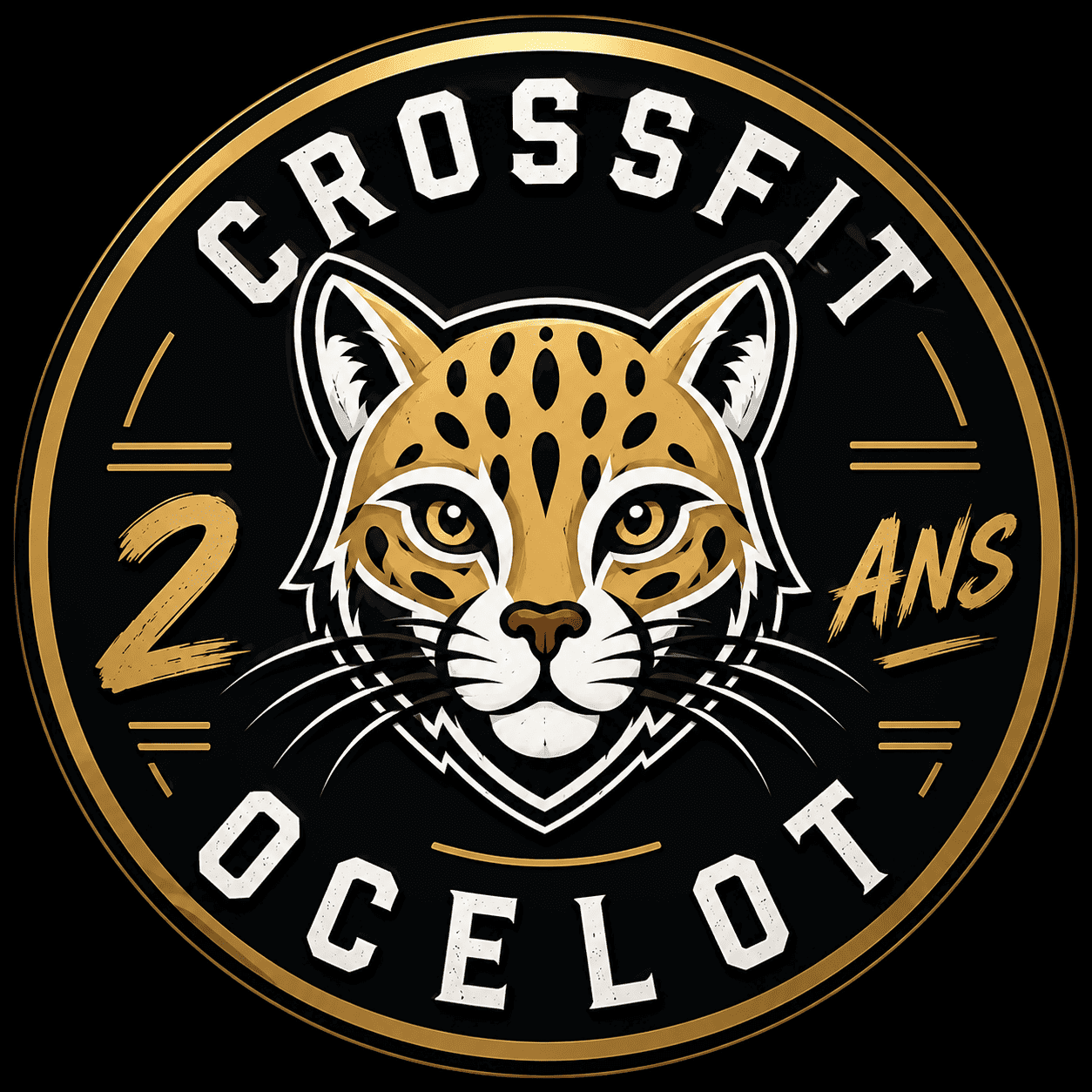 Ocelot Birthday 2 logo
