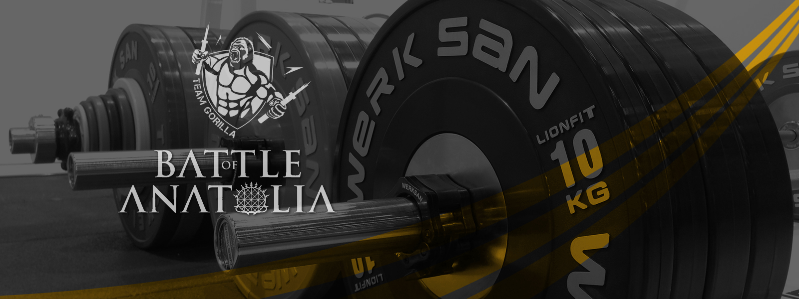 Battle of Anatolia - Online Qualifier logo