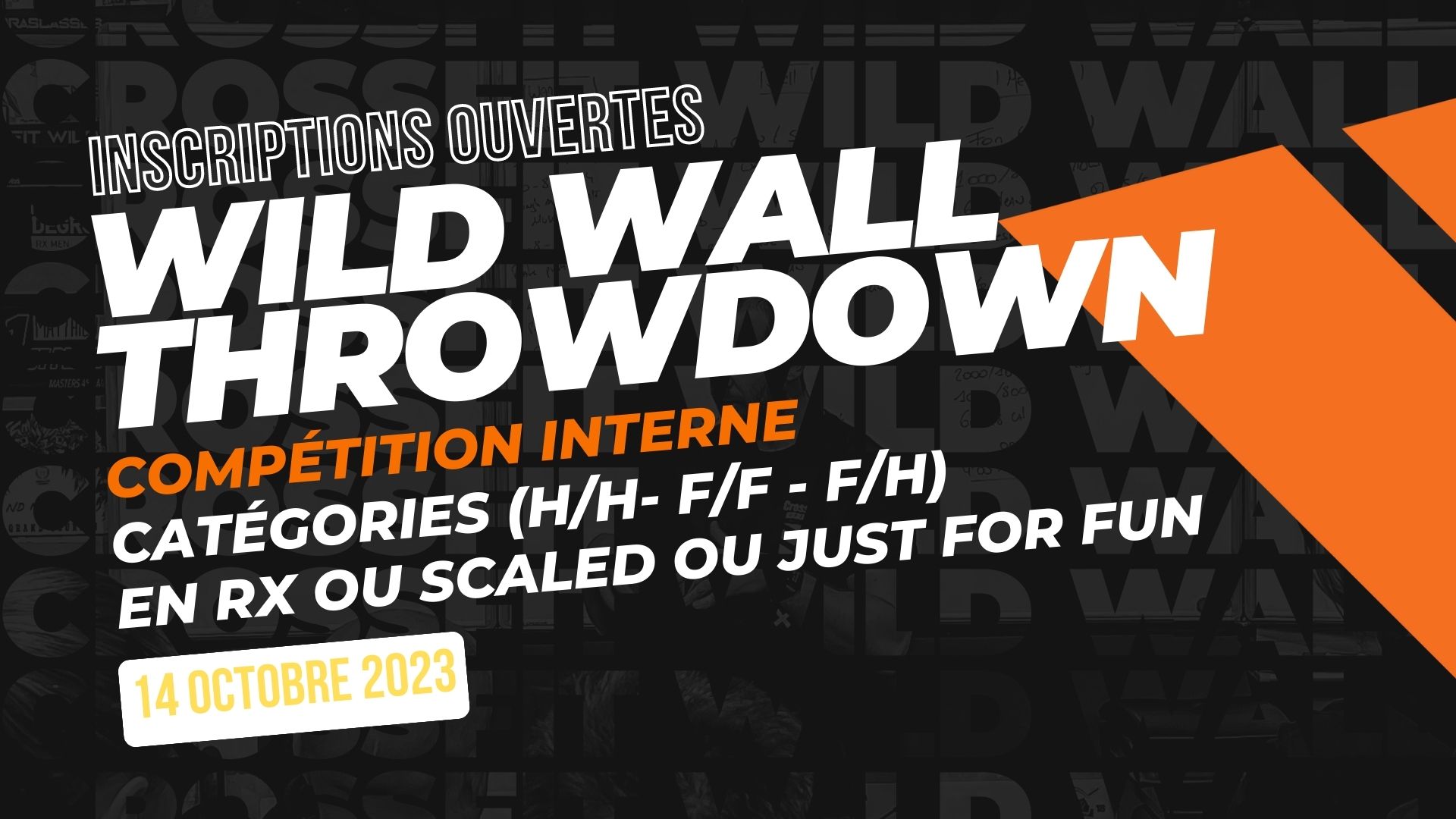 Wild Wall Throwdown logo