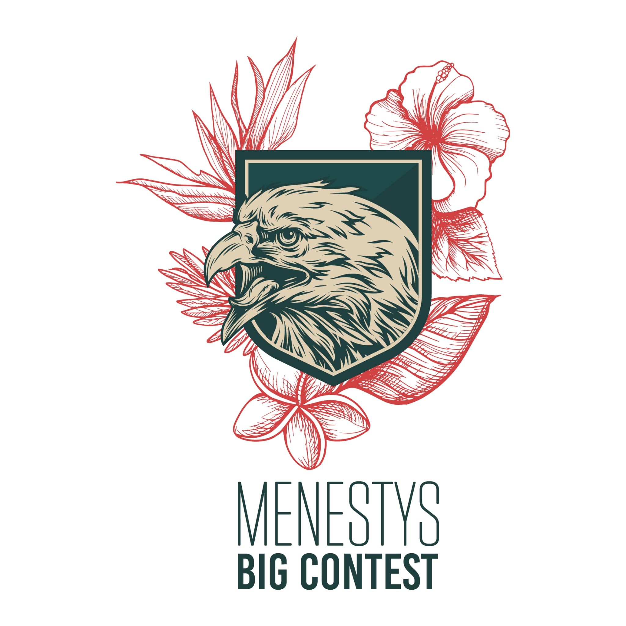 Angers Menestys Big Contest #9 logo