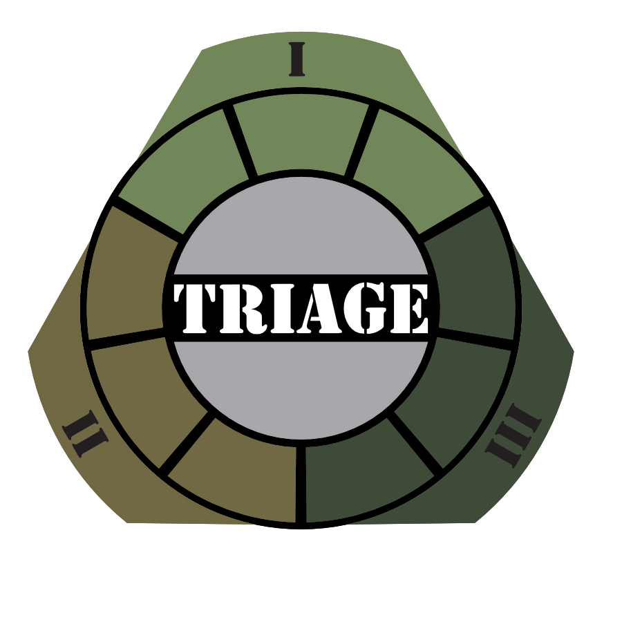 Triage 2025 logo