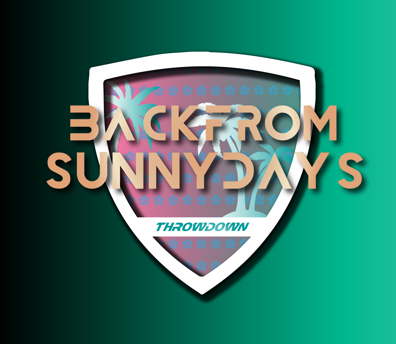 BACK FROM SUNNYDAYS THROWDOWN 2024- HHH/FFF - SCALED/REGULAR logo